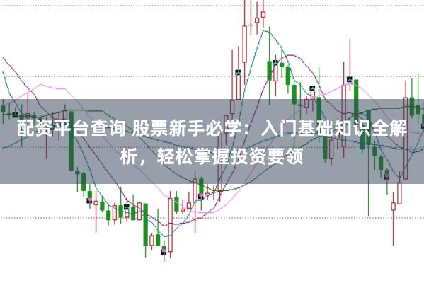 配资平台查询 股票新手必学：入门基础知识全解析，轻松掌握投资要领