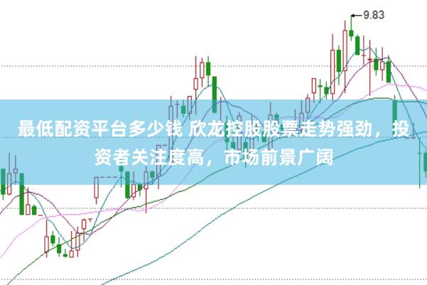 最低配资平台多少钱 欣龙控股股票走势强劲，投资者关注度高，市场前景广阔