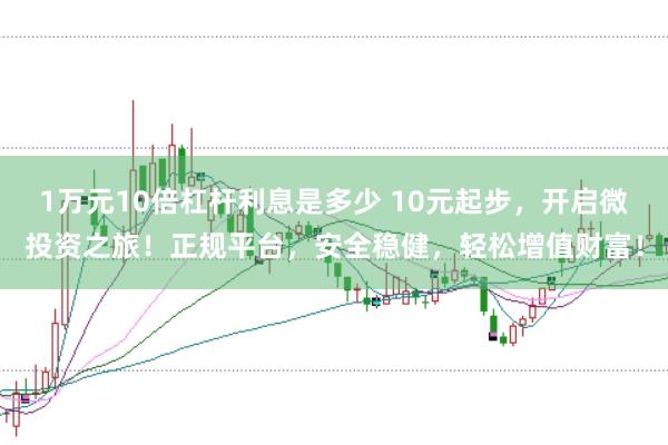 1万元10倍杠杆利息是多少 10元起步，开启微投资之旅！正规平台，安全稳健，轻松增值财富！
