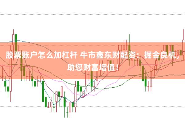 股票账户怎么加杠杆 牛市鑫东财配资：掘金良机，助您财富增值！