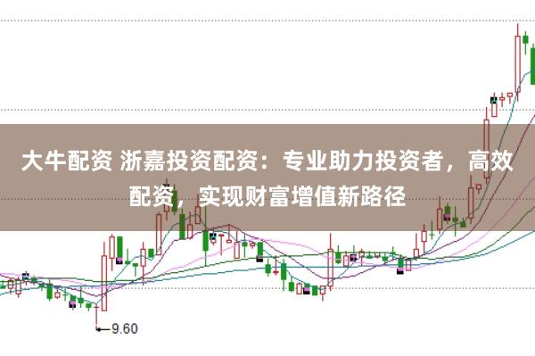 大牛配资 浙嘉投资配资：专业助力投资者，高效配资，实现财富增值新路径