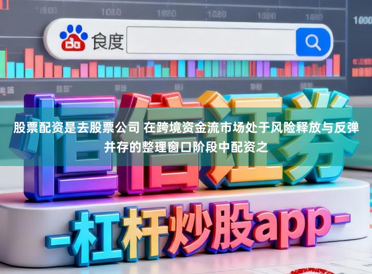 股票配资是去股票公司 在跨境资金流市场处于风险释放与反弹并存的整理窗口阶段中配资之